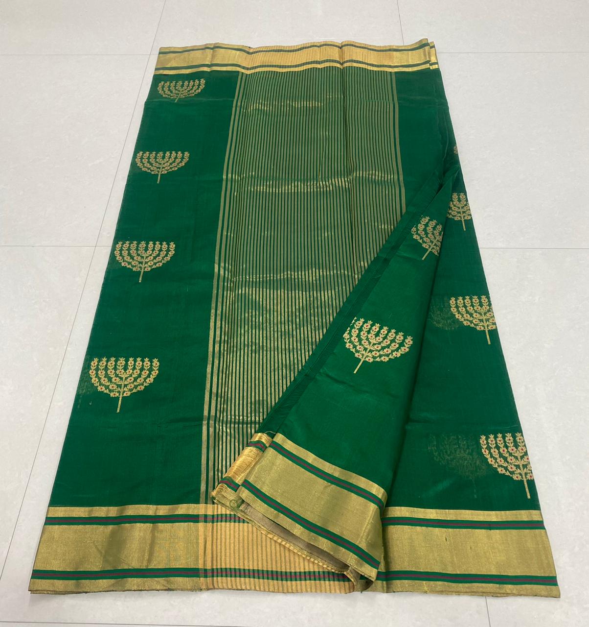 Handwoven Aqua Deep Color Chanderi Pattu Silk Saree - Authentic Chanderi silk sarees Chanderi Saree - View 2