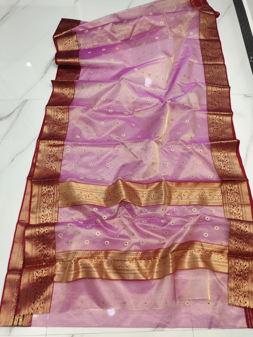 Handwoven Tapestry Color Chanderi Silk Tissue Saree - Authentic Tissue Chanderi Saree - View 2
